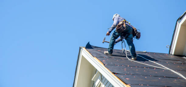 Best Roof Maintenance Services  in Port Byron, NY